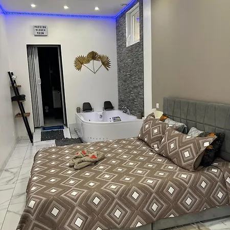 Gold L Amaryllis I Jacuzzi & Sauna Prive I Centre Arrivee Autonome Appartement Béziers